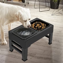 3 Piece Elevated Dual Pet Feeder Set